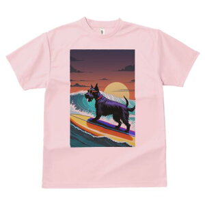 XReBbVeA TVc fB[X t@  t  vg JWA 킢 lԗp h ̃fUC ʔ T[tB XReBbVeA g C z