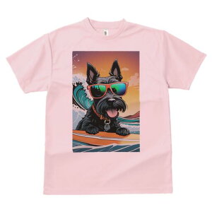 XReBbVeA TVc fB[X t@  t  vg JWA 킢 lԗp h ̃fUC ʔ TOX XReBbVeA g T[tB