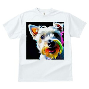 EGXgnChzCgeA TVc fB[X t@  t  vg JWA 킢 lԗp h ̃fUC ʔ Jt EGXgnChzC