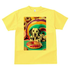 _VA TVc fB[X t@  t  vg JWA 킢 lԗp h ̃fUC ʔ h[ic _VA XC[c َq Jt