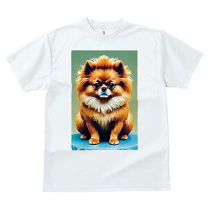 |jA TVc fB[X t@  t  vg JWA 킢 lԗp h ̃fUC ʔ Kl |jA