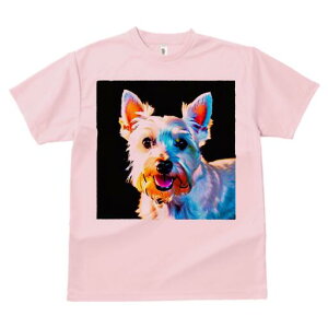 EGXgnChzCgeA TVc fB[X t@  t  vg JWA 킢 lԗp h ̃fUC ʔ EGXgnChzCgeA