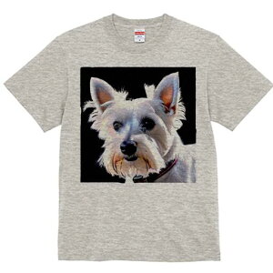 EGXgnChzCgeA TVc fB[X t@  t  vg JWA 킢 lԗp h ̃fUC ʔ EGXgnChzCgeA