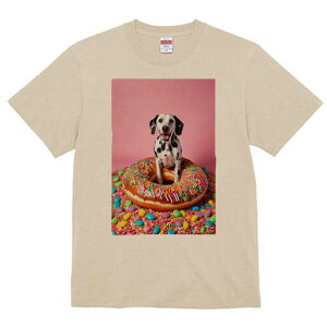 _VA TVc fB[X t@  t  vg JWA 킢 lԗp h ̃fUC ʔ h[ic _VA XvN LfB XC[c