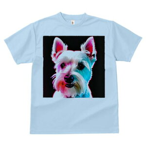 EGXgnChzCgeA TVc fB[X t@  t  vg JWA 킢 lԗp h ̃fUC ʔ EGXgnChzCgeA