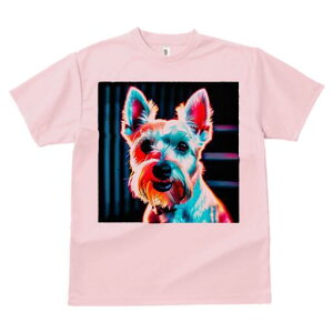 EGXgnChzCgeA TVc fB[X t@  t  vg JWA 킢 lԗp h ̃fUC ʔ EGXgnChzCgeA