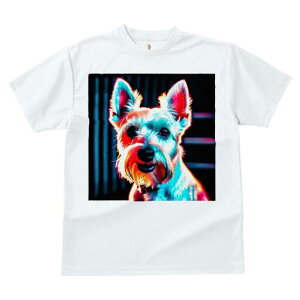 EGXgnChzCgeA TVc fB[X t@  t  vg JWA 킢 lԗp h ̃fUC ʔ EGXgnChzCgeA