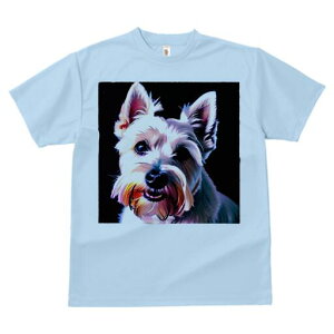 EGXgnChzCgeA TVc fB[X t@  t  vg JWA 킢 lԗp h ̃fUC ʔ EGXgnChzCgeA