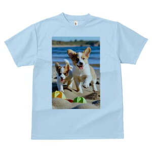 R[M[ TVc fB[X t@  t  vg JWA 킢 lԗp h ̃fUC ʔ r[` R[M[  