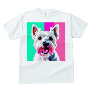 EGXgnChzCgeA TVc fB[X t@  t  vg JWA 킢 lԗp h ̃fUC ʔ wi EGXgnChzCge