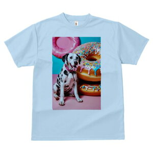 _VA TVc fB[X t@  t  vg JWA 킢 lԗp h ̃fUC ʔ h[ic _VA XC[c َq sN