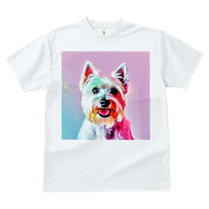 EGXgnChzCgeA TVc Y LbY t@  t  vg JWA 킢 lԗp h ̃fUC ʔ EGXgnChzCge