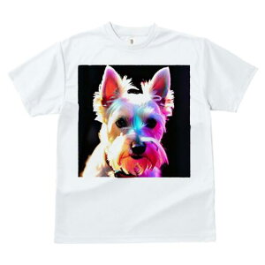 EGXgnChzCgeA TVc fB[X t@  t  vg JWA 킢 lԗp h ̃fUC ʔ EGXgnChzCgeA