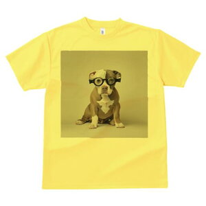 AJsbgueA TVc Y LbY t@  t  vg JWA 킢 lԗp h ̃fUC ʔ Kl AJsbgueA