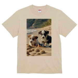 R[M[,{[_[R[ TVc fB[X t@  t  vg JWA 킢 lԗp h ̃fUC ʔ r[` R[M[,{[_[R[ C l Lk