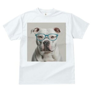 AJuhbO TVc Y LbY t@  t  vg JWA 킢 lԗp h ̃fUC ʔ Kl AJuhbO