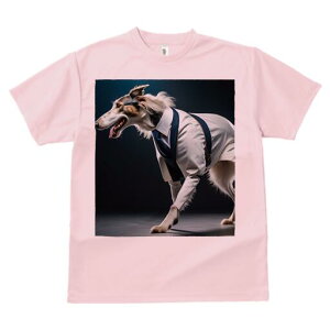 {]C TVc fB[X t@  t  vg JWA 킢 lԗp h ̃fUC ʔ X[c {]C lN^C