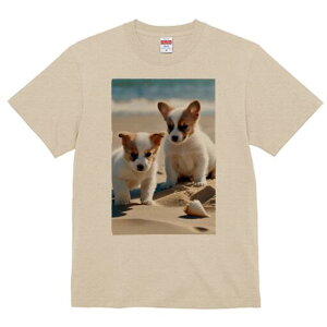 R[M[ TVc fB[X t@  t  vg JWA 킢 lԗp h ̃fUC ʔ r[` R[M[ C  Lk