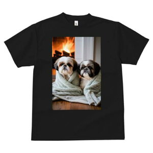 V[Y[ TVc fB[X t@  t  vg JWA 킢 lԗp h ̃fUC ʔ gF V[Y[ ѕz