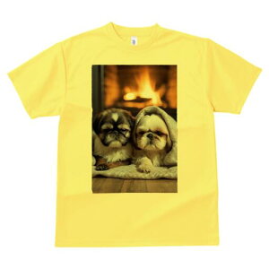 V[Y[ TVc fB[X t@  t  vg JWA 킢 lԗp h ̃fUC ʔ gF V[Y[ ѕz ؐ̏