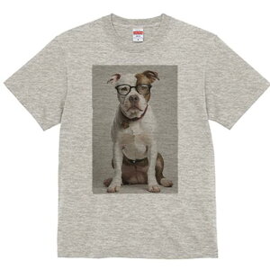 AJsbgueA TVc Y LbY t@  t  vg JWA 킢 lԗp h ̃fUC ʔ Kl AJsbgueA