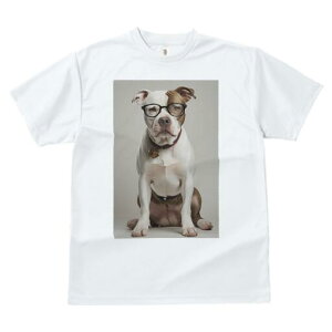 AJsbgueA TVc Y LbY t@  t  vg JWA 킢 lԗp h ̃fUC ʔ Kl AJsbgueA