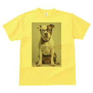 AJsbgueA TVc Y LbY t@  t  vg JWA 킢 lԗp h ̃fUC ʔ Kl AJsbgueA