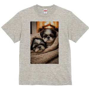 V[Y[ TVc fB[X t@  t  vg JWA 킢 lԗp h ̃fUC ʔ gF V[Y[ ѕz