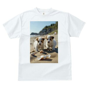 WbNbZeA TVc fB[X t@  t  vg JWA 킢 lԗp h ̃fUC ʔ r[` WbNbZeA C  Lk