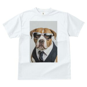 AJsbgueA TVc fB[X t@  t  vg JWA 킢 lԗp h ̃fUC ʔ TOX AJsbgueA 