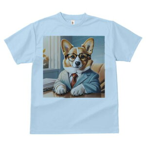 R[M[ TVc Y LbY t@  t  vg JWA 킢 lԗp h ̃fUC ʔ X[c R[M[ lN^C Kl ItBX rWlX