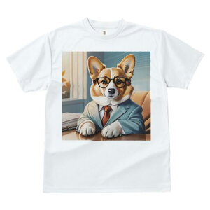 R[M[ TVc Y LbY t@  t  vg JWA 킢 lԗp h ̃fUC ʔ X[c R[M[ lN^C Kl ItBX rWlX