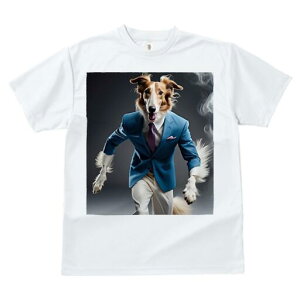 {]C TVc fB[X t@  t  vg JWA 킢 lԗp h ̃fUC ʔ X[c {]C lN^C