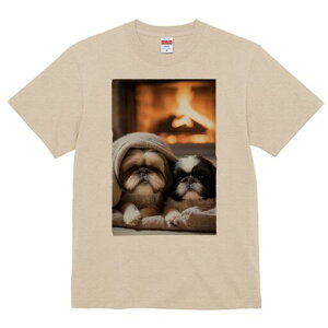 V[Y[ TVc fB[X t@  t  vg JWA 킢 lԗp h ̃fUC ʔ gF V[Y[ ѕz