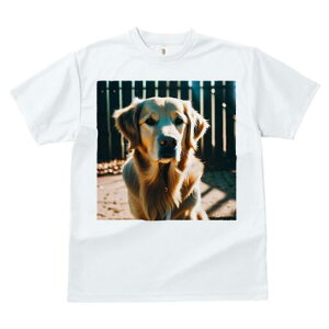 S[fgo[ TVc fB[X t@  t  vg JWA 킢 lԗp h ̃fUC ʔ tFX S[fgo[ 