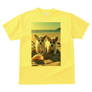 R[M[ TVc fB[X t@  t  vg JWA 킢 lԗp h ̃fUC ʔ r[` R[M[ C l Lk