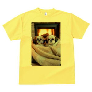 V[Y[ TVc fB[X t@  t  vg JWA 킢 lԗp h ̃fUC ʔ gF V[Y[ ѕz