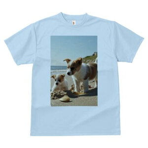 R[M[ TVc fB[X t@  t  vg JWA 킢 lԗp h ̃fUC ʔ r[` R[M[ C  l