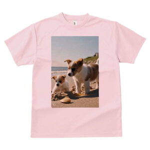 R[M[ TVc fB[X t@  t  vg JWA 킢 lԗp h ̃fUC ʔ r[` R[M[ C  l