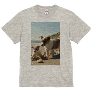 R[M[ TVc fB[X t@  t  vg JWA 킢 lԗp h ̃fUC ʔ r[` R[M[ C  l