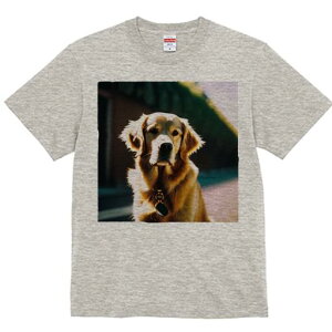 S[fgo[ TVc fB[X t@  t  vg JWA 킢 lԗp h ̃fUC ʔ S[fgo[