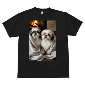 V[Y[ TVc fB[X t@  t  vg JWA 킢 lԗp h ̃fUC ʔ gF V[Y[ ѕz