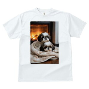 V[Y[ TVc fB[X t@  t  vg JWA 킢 lԗp h ̃fUC ʔ gF V[Y[ ѕz ؐ̏