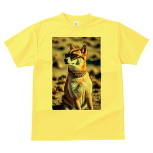 Č TVc fB[X t@  t  vg JWA 킢 lԗp h ̃fUC ʔ TOX Č 