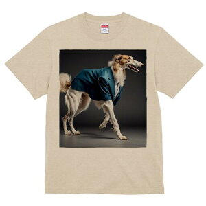 {]C TVc fB[X t@  t  vg JWA 킢 lԗp h ̃fUC ʔ X[c {]C rWlX