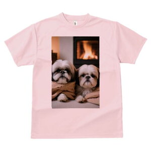 V[Y[ TVc fB[X t@  t  vg JWA 킢 lԗp h ̃fUC ʔ gF V[Y[  ѕz