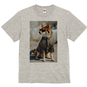 Č TVc fB[X t@  t  vg JWA 킢 lԗp h ̃fUC ʔ TOX Č 