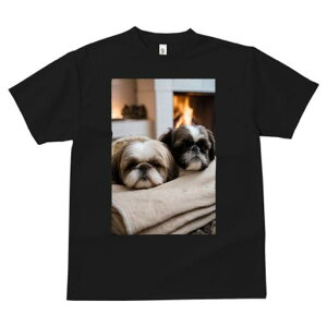 V[Y[ TVc fB[X t@  t  vg JWA 킢 lԗp h ̃fUC ʔ gF V[Y[ ѕz