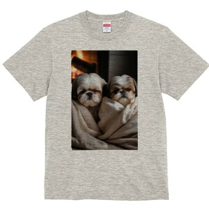 V[Y[ TVc fB[X t@  t  vg JWA 킢 lԗp h ̃fUC ʔ gF V[Y[ ѕz