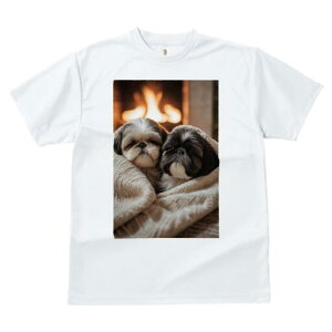 V[Y[ TVc fB[X t@  t  vg JWA 킢 lԗp h ̃fUC ʔ gF V[Y[ ѕz